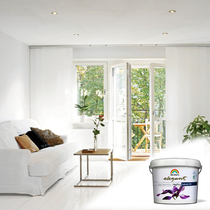 Beckers Bei Keyou elegant matte interior wall paint interior professional color long lasting color color green paint