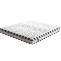 Xiling door mattress dream round jute plus Ridge Spring is antibacterial anti-mite fabric