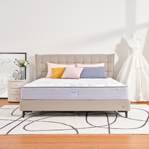Sealy silk spring mattress double Natural latex double household with wool simple modern primary and secondary bedroom