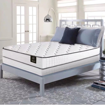 Serta Schuda mattress Vienna ll generation Ridge spring mattress anti mite mildew health latex mattress hot sale
