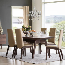 Steres Fandie D200 comfortable and simple high backrest multi-color dining chair Simple light luxury chair