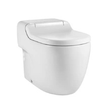 Lejia Nuerui Deluxe Edition (white with water pump) smart toilet 811351800