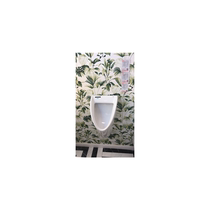 Lejia Yurui wall-mounted ceramic urinals online and offline Chongqing Nanping Shopping Mall