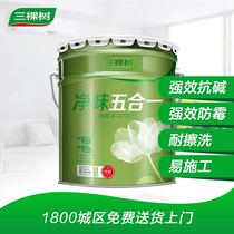 Kunming Tongcheng Station Net Taste Five-in-One Wall Latex Paint Red Star Meikailong Kunming Chenggong Shopping Mall