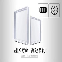 AIA Ceiling LED Light