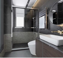 Senlia Santa Leah shower room S-7202 in-shape overall custom stainless steel push-pull sliding door safety