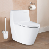 GROHE German Gaoyi original imported household toilet toilet toilet siphon 39316000