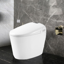 Faenza bathroom intelligent toilet toilet Household siphon type water-saving toilet FB-16163