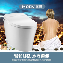 Moen Lapland series Smart toilet All-in-one toilet