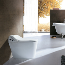 Bante Smart Toilet B1667G Ordinary Household Toilet Ceramic Sanitary Ware Vortex Siphon Large Pipe