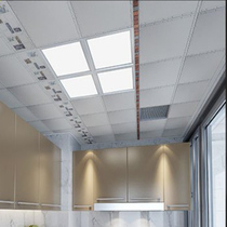 AIA ceiling module-XF1031-04 kitchen bathroom integrated ceiling light luxury minimalist installation