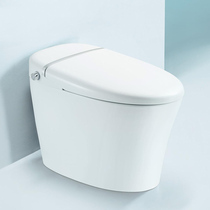 Lang Whale bathroom automatic intelligent toilet integrated machine instant drying multi-functional household toilet ICO553