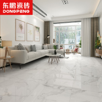 Dongpeng tile simple white marble texture living room tile floor tile floor tile 800x800 wear-resistant non-slip