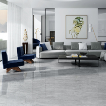 (Changwu Alliance Day)Faenza tile star constellation series Scorpio Classic modern light luxury gray