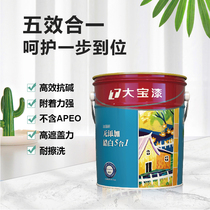 Dabao paint clean house Li without adding white 5 in 1 environmental protection Home Children wall paint CWI-5061Z