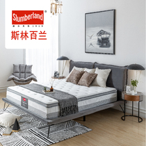 British Slingblane Latex horse mane mattress Quick-drying fabric padded double single temperature Wisdom IV1600