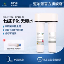 UK Dalton Water Purifier Home Straight Drink DIP203-SI Kitchen Water Purifier Tap Water Faucet Filter