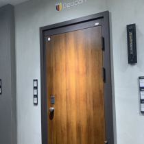 Dedong Hansen Series Entrance Doors Security Door Home Environmentally Friendly high quality modern minimalist light extravagant minimalist