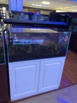 Sopu fish tank Jane Europe series glass fish tank ecological fish tank living room household glass fish tank aquarium) summer Port