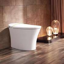 Wrigley bathroom new fashion beautiful high end simple generous simple and durable one smart toilet AKB1028