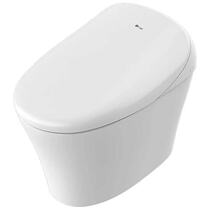 Dongpeng integrated bathroom intelligent integrated instant hot drying flushing household electric toilet