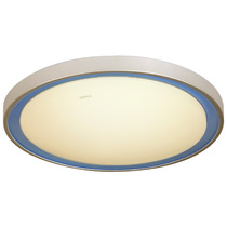 Op Lighting LED ceiling lights round bedroom lights warm and simple modern dining room lights autumn rhyme