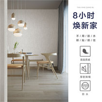 Tianyang JCC premium ironing wall cloth Light luxury environmental protection formaldehyde-free bedroom living room household seamless wall cloth DFR1022