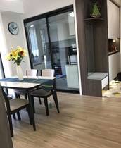 Elephant flooring PB6191n household solid wood composite flooring anti-fouling wear-resistant easy to clean and environmentally friendly guest bedroom wood floor