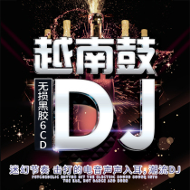 Car CD disc dj Vietnam drum bar DJ Madden heavy bass Hi song lossless music vinyl disc