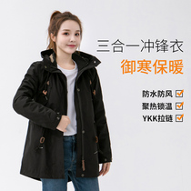 (Clearance Special) Autumn and winter long outdoor three-in-one assault clothing Waterproof warm mountaineering jacket women