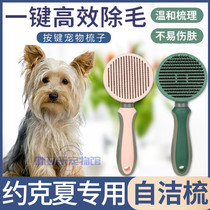 Yorkshire special pet pooch with comb self-cleaning comb brushed hair comb brushed hair deity Divine Instrumental Supplies Needle Comb Beauty