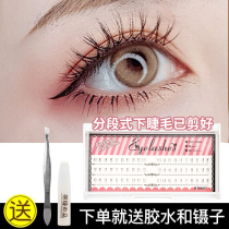 Segmented false eyelashes Single cluster lower eyelashes supernatural short nude makeup makeup simulation thick grafting effect FD01