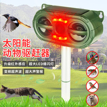 Driving Cats Drove Dogs Ultrasonic Mousetrap Solar Exorcke for Snake Robots Outdoor Outdoor LONG-LASTING