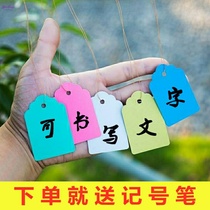 Gardening potted green fruit tree flower fleshy colored plant label PVC waterproof plastic label