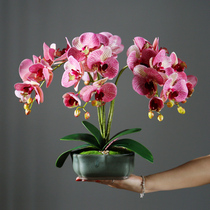 Hand Feel Butterfly Lan Emulation Flower Living Room High-end Decorative fake floral art swing piece Tea Pot Potted TV Cabinet Next To the Furnishing