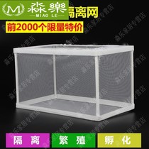 Fish Tank Isolation tank tank tank tank Fish Fish Fish Fish Fish