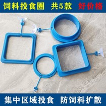  Duckweed aquatic plants Fish feeding circle feeding ornamental fish feeding feeder with suction cup can be fixed fish tank supplies