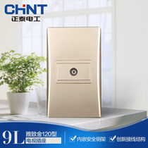 CHINT Electric 120 type NEW9L safety steel frame wall switch socket gold cable TV socket
