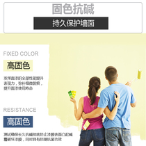 Yuan Technology transparent sealed alkali resistant primer interior paint permeable base film interface agent 5kg water-based paint