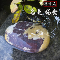 Turtle basking platform Native natural Yangtze River pebbles Turtle basking back stone Climbing stone Escape