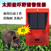Solar with sound timing dog barking pig call warning light field outdoor scare wild boar drive animal artifact DC charging