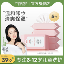 Plant moms special makeup remover wet wipes gently clean disposable portable stage make-up sunscreen makeup remover