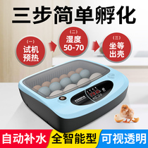  Small incubator Household egg hatcher Automatic intelligent hatching machine hatching chicken machine Parrot hatching box