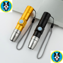  New version of the banknote detector 365 USB charging special banknote detector Portable flashlight fluorescence detection Portable small