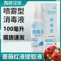 Skin and mucous membrane disinfectant household disinfectant prevention of household non-alcoholic iodophor Pran children