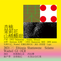 Cured Light Division Coffee Bean Ethiopian Coffee Bean Siddharma washed G1 All red fruit hand Washed Boutique Coffee Beans