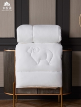 Wool is thickened and warm winter quilt autumn and winter double quilt single household spring and autumn quilt core light luxury 1214y