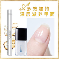 Albeville protein protective nail polish nutrient solution nursing nutrient pen bottom oil combined repair nourishing and softening barb