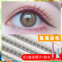 Net red fish tail hair eyelash grafting super soft mermaid hair fairy single cluster segmented false eyelash female natural