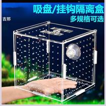 Cave breeding incubator box Fish Tank Isolation plate separator box small fish net guppies juvenile multi-grid isolator ornamental shrimp